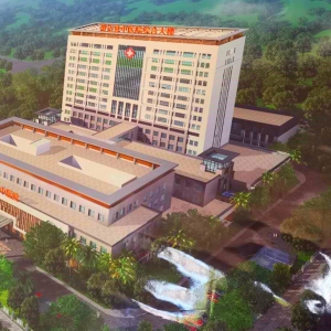 澄邁縣中醫(yī)院搬遷工程項(xiàng)目全過(guò)程造價(jià)咨詢(xún)服務(wù)